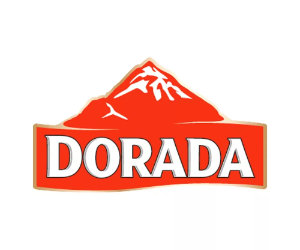 Banner Dorada 300x250