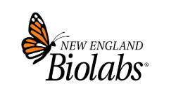 New England Biolabs