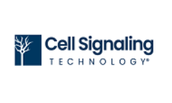 Cell Signaling Technology