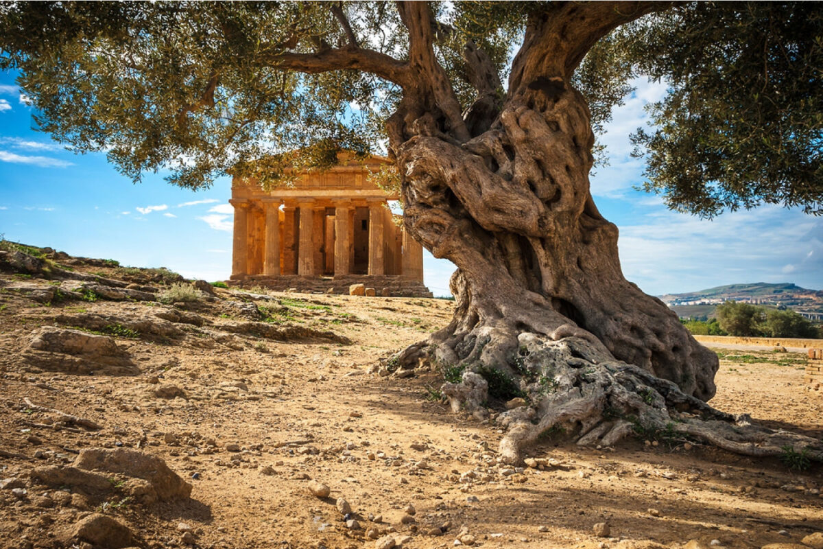Valle dei Templi AG